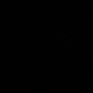 Meet your Posher, Coral